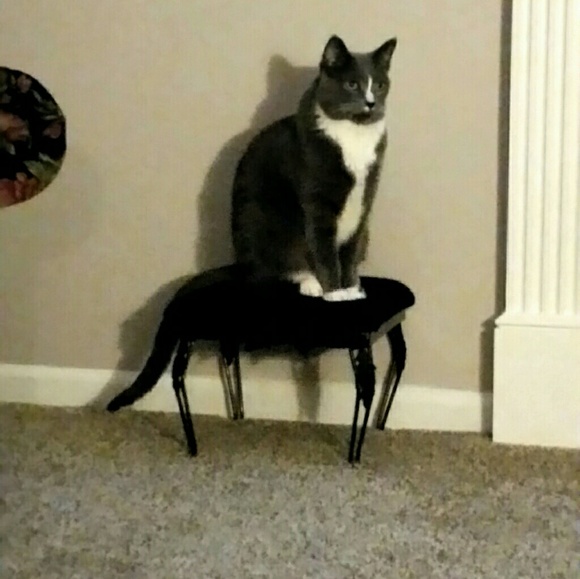 Meet your Posher, Nancy - Picture 1 of 1